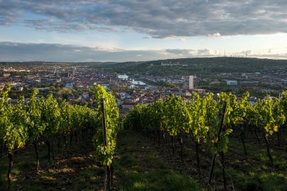 Bessere Aussicht als von einem Hotel in Würzburg in nähe der Uniklinik