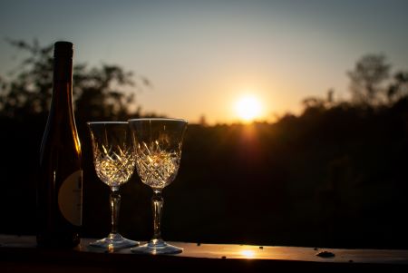 Ausblick auf den Sonnenuntergang aus der Unterkunft nahe Würzburg mit Hund